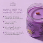 Spotless Leopard Vanilla & Lavender Candle 22oz Glass Jar - Image 5