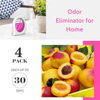 Air Freshener for Home, 4 Pack, Odor Eliminator for Small Area Closets Bathroom - Image 3