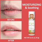 VISRIE 64 Pack Lip Balm, Natural Lip Balm Bulk - Image 4