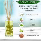 Urban Naturals Eucalyptus Sage Reed Diffuser Oil Gift Set | Eucalyptus - Image 5