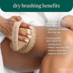 EcoTools Dry Body Brush for Circulation, Dead Skin Removal + Pink Delicate - Image 2