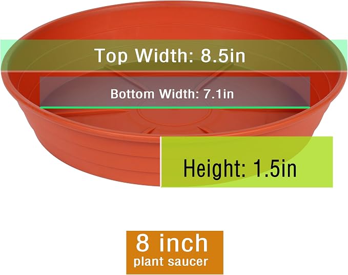 Plant Saucer 8 Inch 4 Pack 6 8 10 12 14 16 18 20 25, Plastic Plant Trays - Image 2