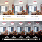 Pink Waterproof LED Ceiling Light Fixture, Music Ceiling Lamp, - Image 6