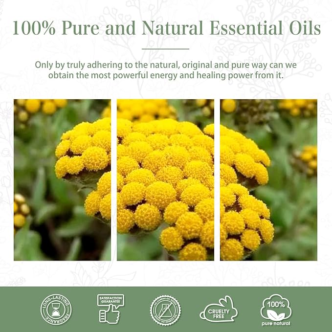 Helichrysum 3.38fl.oz Essential Oil, PHATOIL Pure Aromatherapy Oils - Image 7