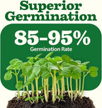 32 Heirloom Vegetable and Fruit Seeds - Image 6