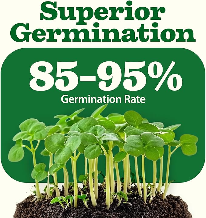 32 Heirloom Vegetable and Fruit Seeds - Image 6