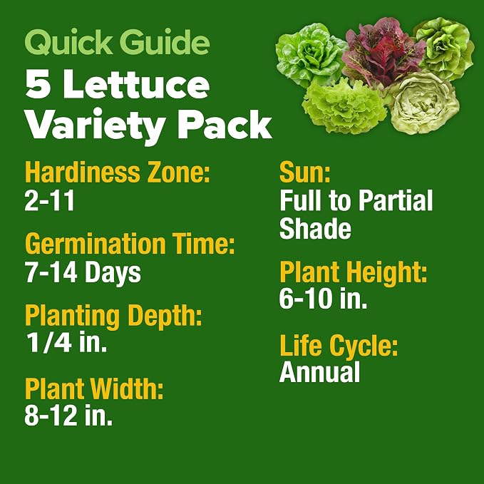 HOME GROWN Lettuce Seeds 5 Variety Mix 3950+ Bulk Pack Heirloom Non-GMO - Image 5