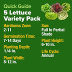HOME GROWN Lettuce Seeds 5 Variety Mix 3950+ Bulk Pack Heirloom Non-GMO - Image 5