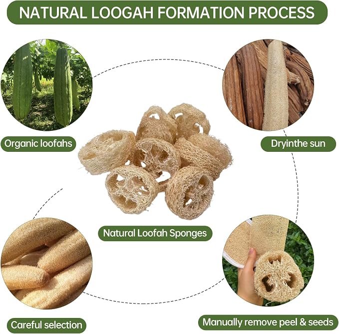 Natural Loofah Sponge for Soap Making, 20 Pack Organic Loofahs Slices Cuts Set - Image 9