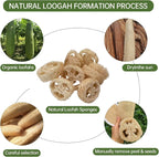 Natural Loofah Sponge for Soap Making, 20 Pack Organic Loofahs Slices Cuts Set - Image 9