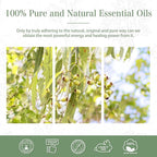 Lemon Eucalyptus 3.38fl.oz Essential Oil, PHATOIL Pure Aromatherapy Oils - Image 6