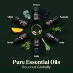 Lagunamoon Essential Oils Aromatherapy Set - Image 3