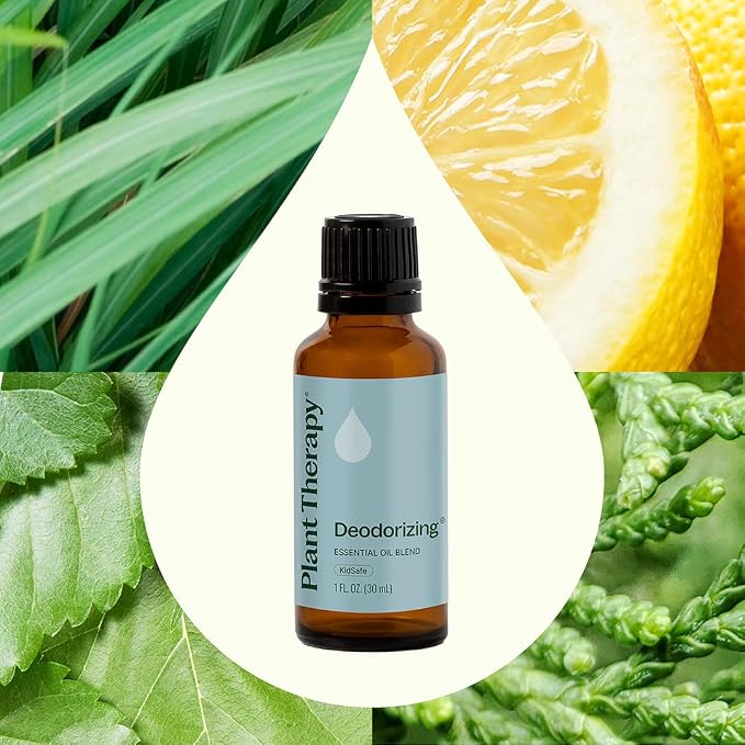 Plant Therapy Deodorizing Essential Oil Blend 30 mL 100% Pure, Therapeutic Grade - Image 3