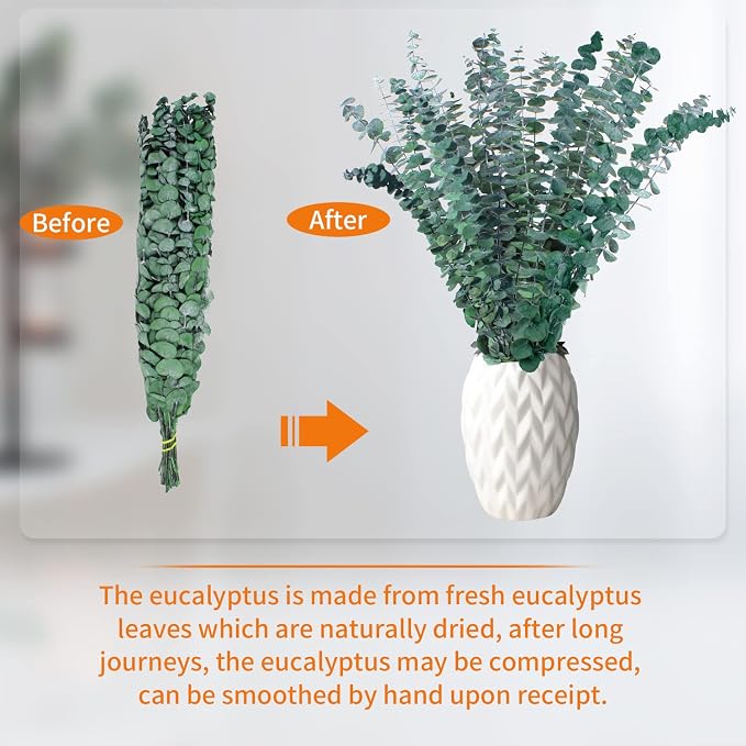 30 Pcs Eucalyptus for Shower, Dried Hanging Bundle -17in Real Eucalyptus Stems - Image 3