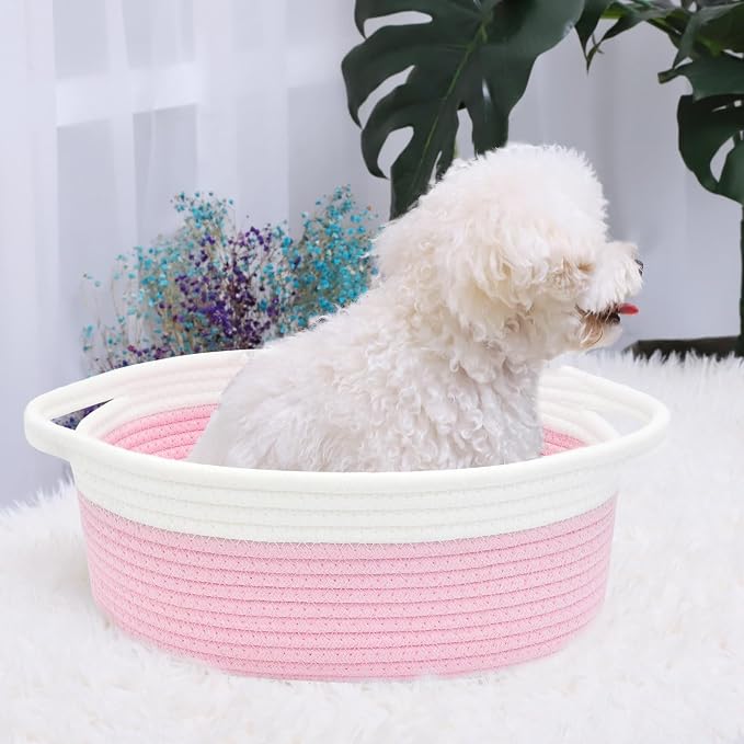 ABenkle Small Basket with Handles, Boho Decorative Rope Woven Dog Cat Toy - Image 3