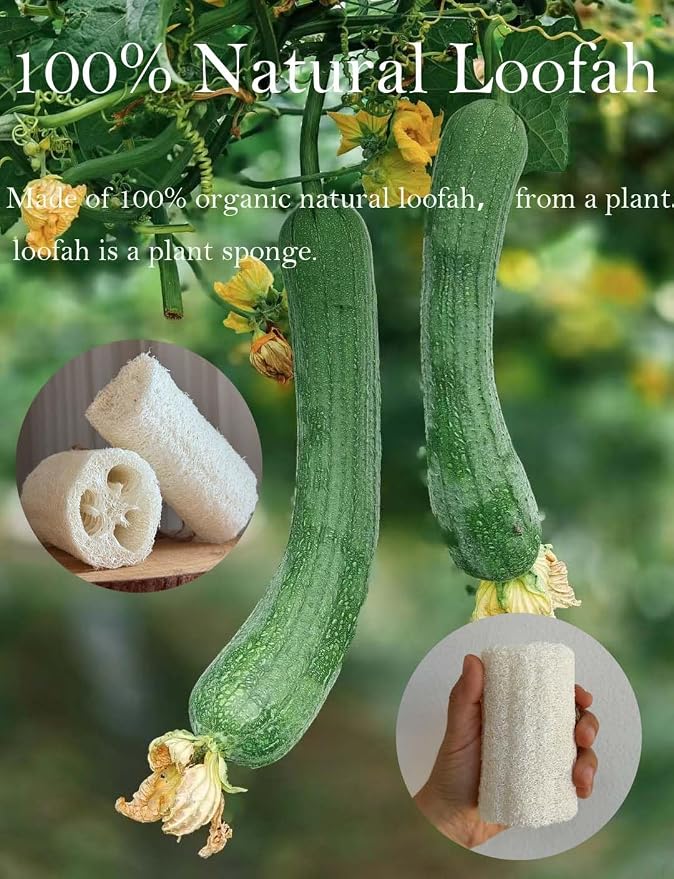 4" Natural Loofah Exfoliating Body and Face Sponge - Image 5