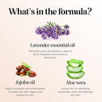 Luxurious Lavender Bubble Bath for Women - Image 6