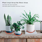 2 Pack of Plant Saucer 12 inch, 12 inch Plastic Plant Drip Trays, Heavy Duty - Image 4