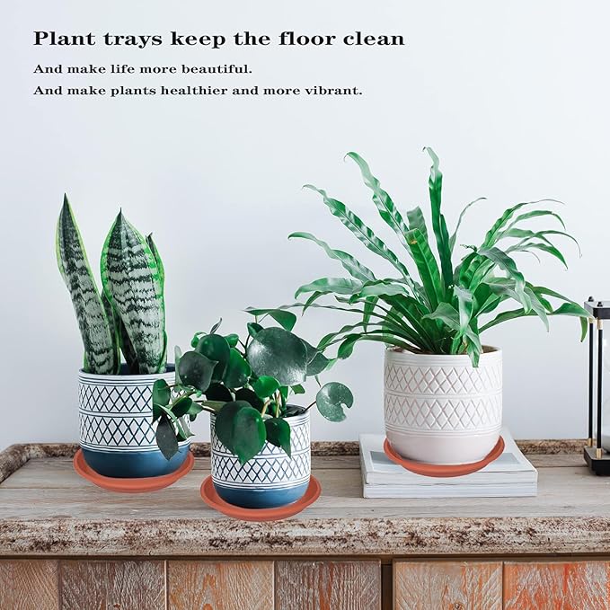 2 Pack of Plant Saucer 12 inch, 12 inch Plastic Plant Drip Trays, Heavy Duty - Image 4