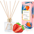100ml Scent Diffuser with 6 Fiber Sticks, 3.5 oz Reed Diffuser Set Aromatherapy by DIUFJAG