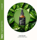 artnaturals Tea Tree Essential Oil- 100% Pure Oils Premium Melaleuca - Image 4