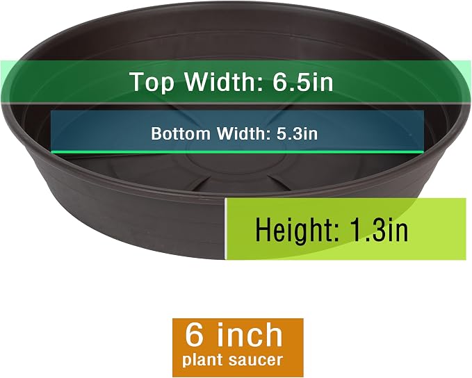 Plant Saucer 6 Inch 4 Pack 6 8 10 12 14 16 18 20 25, Plastic Plant Trays - Image 2