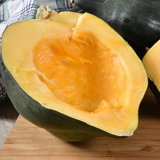 Seed Needs, Table King Acorn Winter Squash Seeds - Image 7