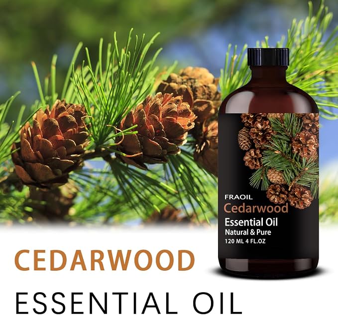 Cedarwood Essential Oil, Cedarwood Oil 4 Fl Oz 120ML - Image 2