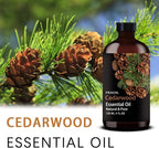 Cedarwood Essential Oil, Cedarwood Oil 4 Fl Oz 120ML - Image 2