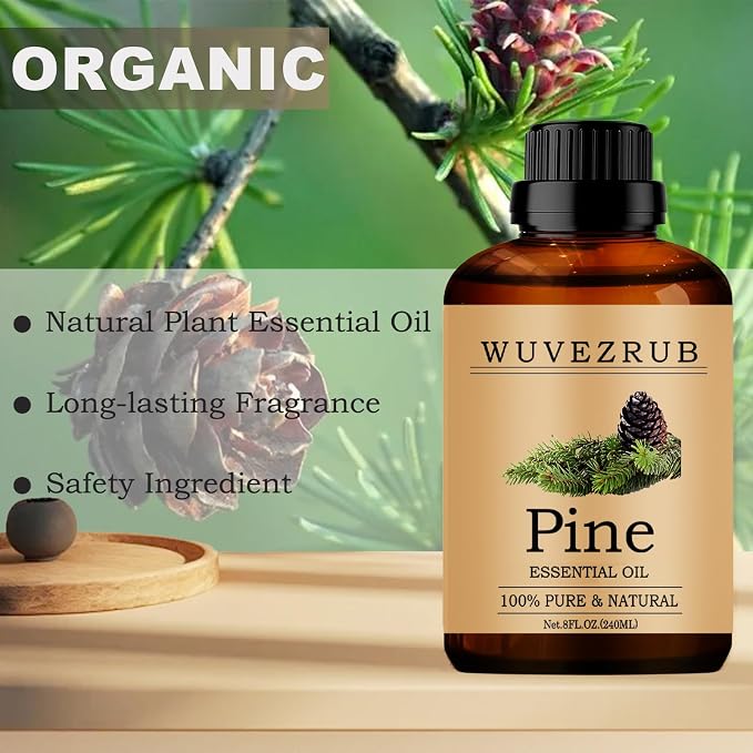 Pine Essential Oils, 240ML Pure and Natural Essential Oil - Image 2