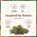 SVA Cedarwood Essential Oil – 4 Fl Oz – 100% Natural Cedar Cupressus Funebris - Image 3
