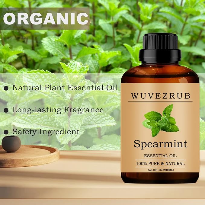 Spearmint Essential Oils, 240ML Pure and Natural Essential Oil - Image 4