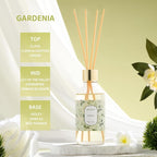 Airkeep Reed Diffuser Oil Set - Image 2