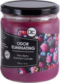 Very Berry Odor Eliminating Highly Fragranced Candle by DiannesCustomCandles