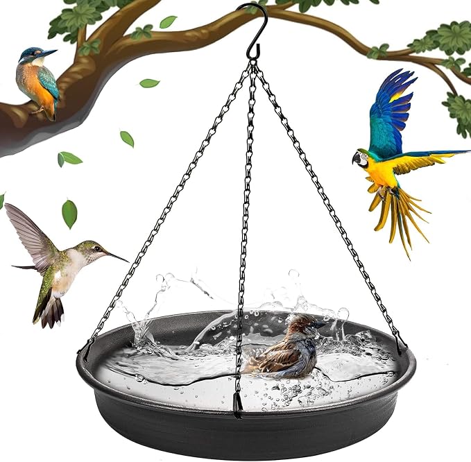 Hanging Bird Bath Hanging Bird-Feeder by CARGEN