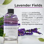 Aroma Country Lavender Fields Diffuser Oil - Image 3