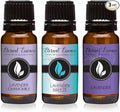 Trio - Lavender Chamomile, Lavender Breeze & Lavender - Premium Fragrance Oil by EternalEssenceOils