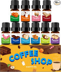 Fragrance Oil for Candle & Soap Making, Holamay Coffee Shop Set, Premium by Holamay