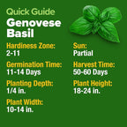 HOME GROWN Genovese Basil Seeds 2 Pack - Image 6