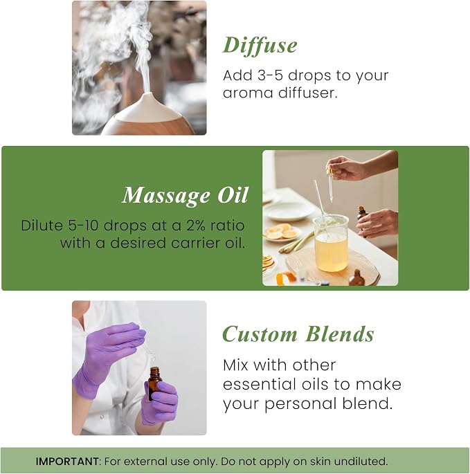 Handcraft Blends Rosemary Essential Oil – 1 Fl Oz – 100% Pure and Natural – - Image 6