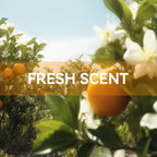 MYARO 12 Packs Orange Scented Sachets - Image 9