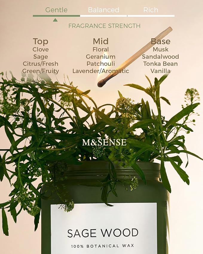 M&SENSE Sage Wood Scented Candles - Image 2