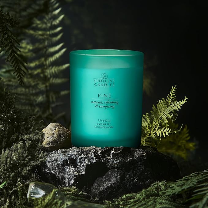 Pine Candle 9.7 oz: 55 Hrs Burn Time - Image 7