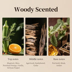 Woody Scent for Hotel Essential Oil for Waterless Diffuser Refill Fragrance - Image 4