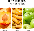 Xcleen Reed Diffuser Set, Velvet Peach Scent Fragrance Oil Diffuser, Reed - Image 2
