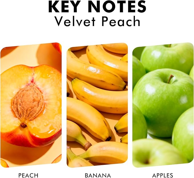 Xcleen Reed Diffuser Set, Velvet Peach Scent Fragrance Oil Diffuser, Reed - Image 2