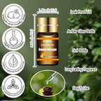 Essential Oils Set-Essential Oils-Perfect - Image 3