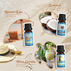 SALKING Surf & Sand Fragrance Oils, Premium Essential Oil - Image 4