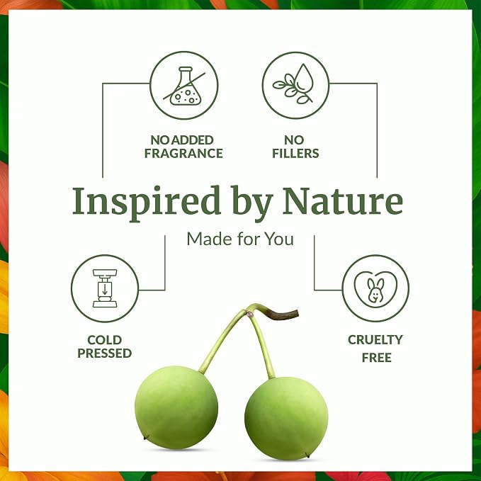 SVA Tamanu Seed Oil - Image 3