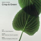 Salt & Stone Body Lotion for Women & Men | Neroli & Basil | Hydrates, Nourishes - Image 3